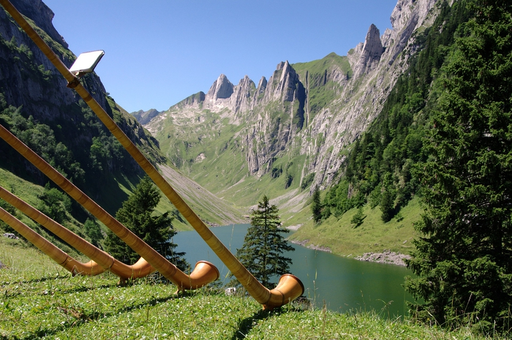 Alphorn