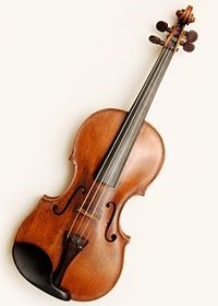 Violine